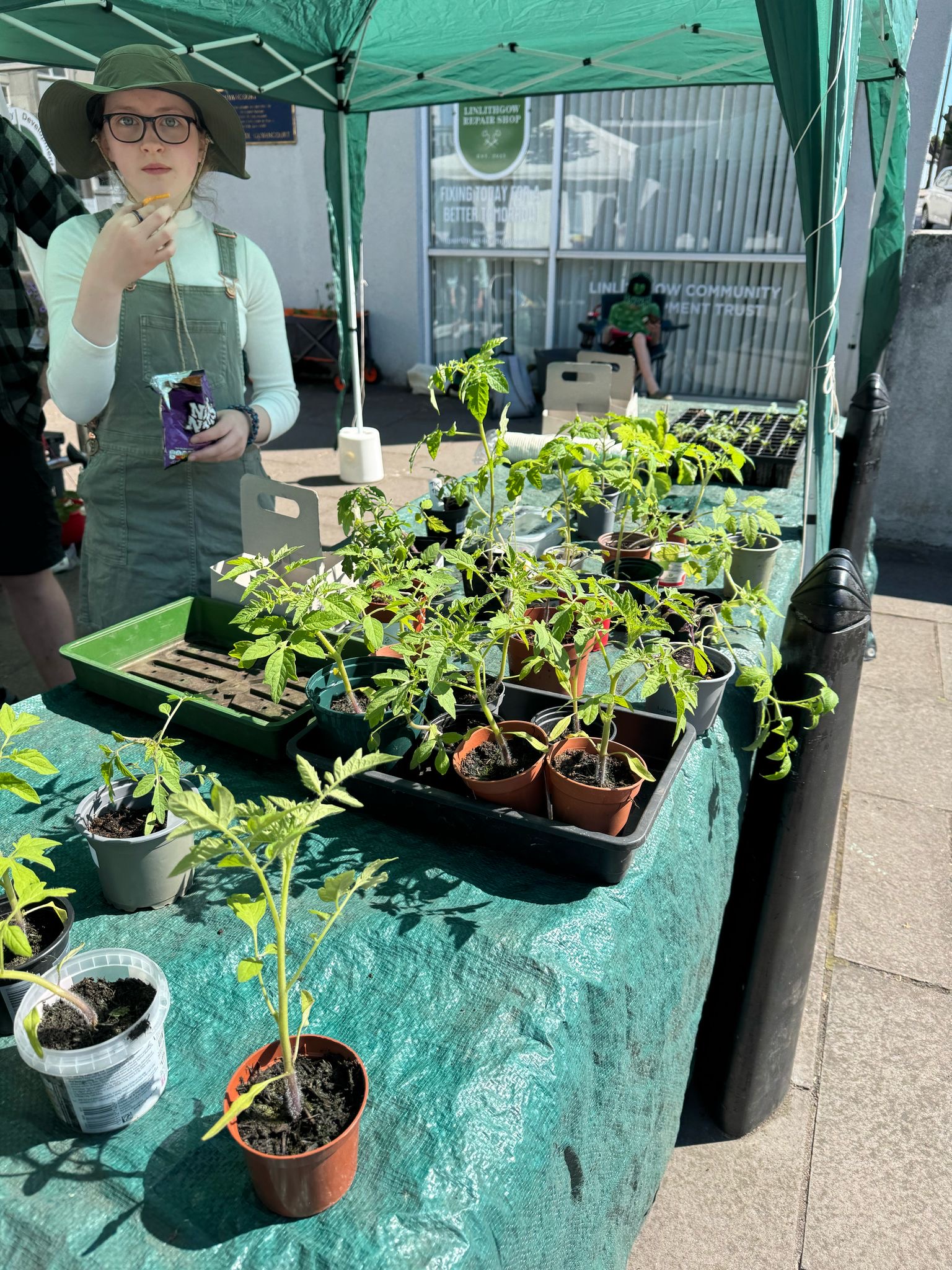 Plant stall and Farmily volunteer