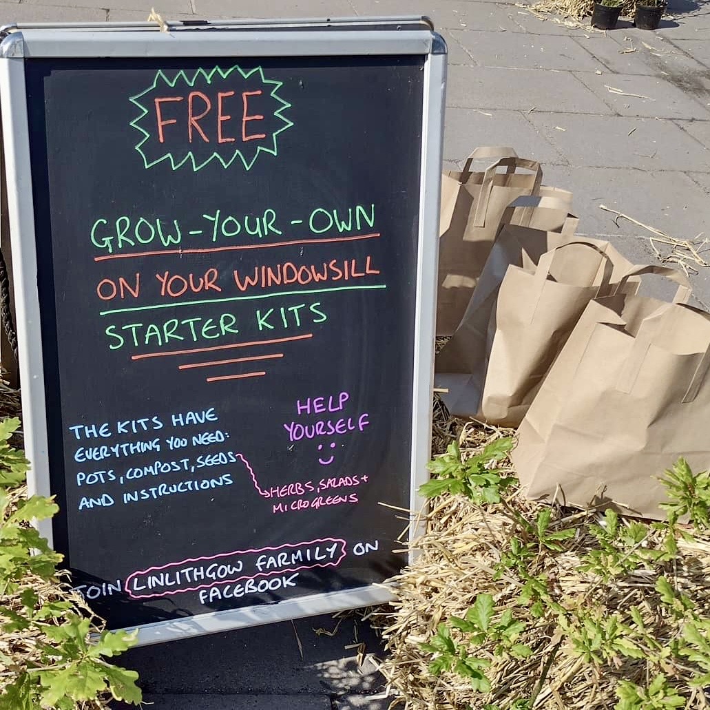 A frame 'Free Grow Your Own on your windowsill Starter Kits' beside brown paper bags containing the kits