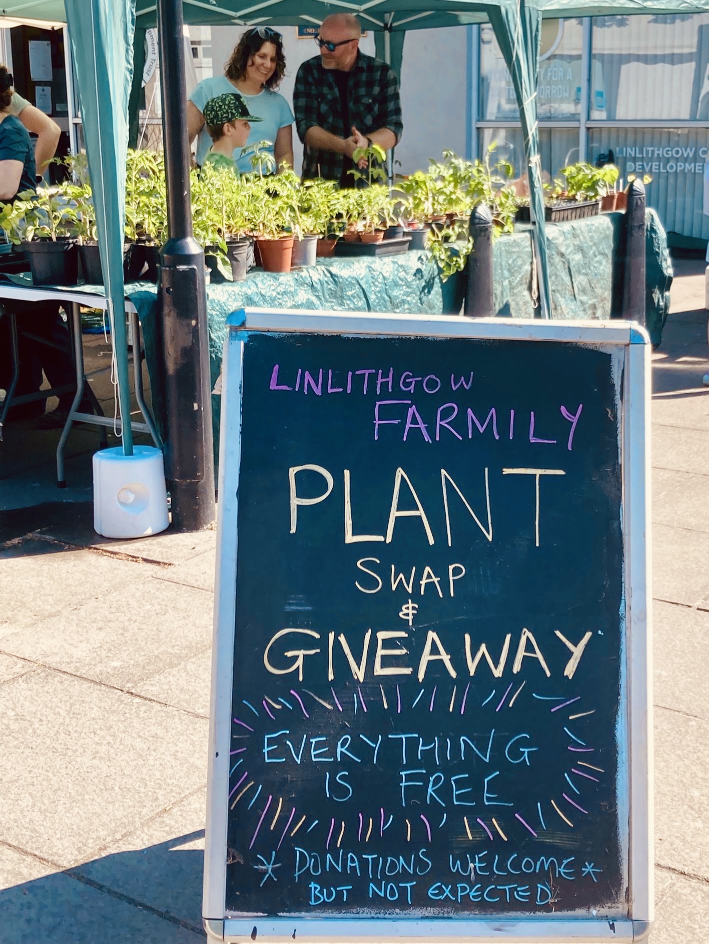 A frame board saying 'Linlithgow Farmily Plant swap giveaway' beside plant stall and gazebo